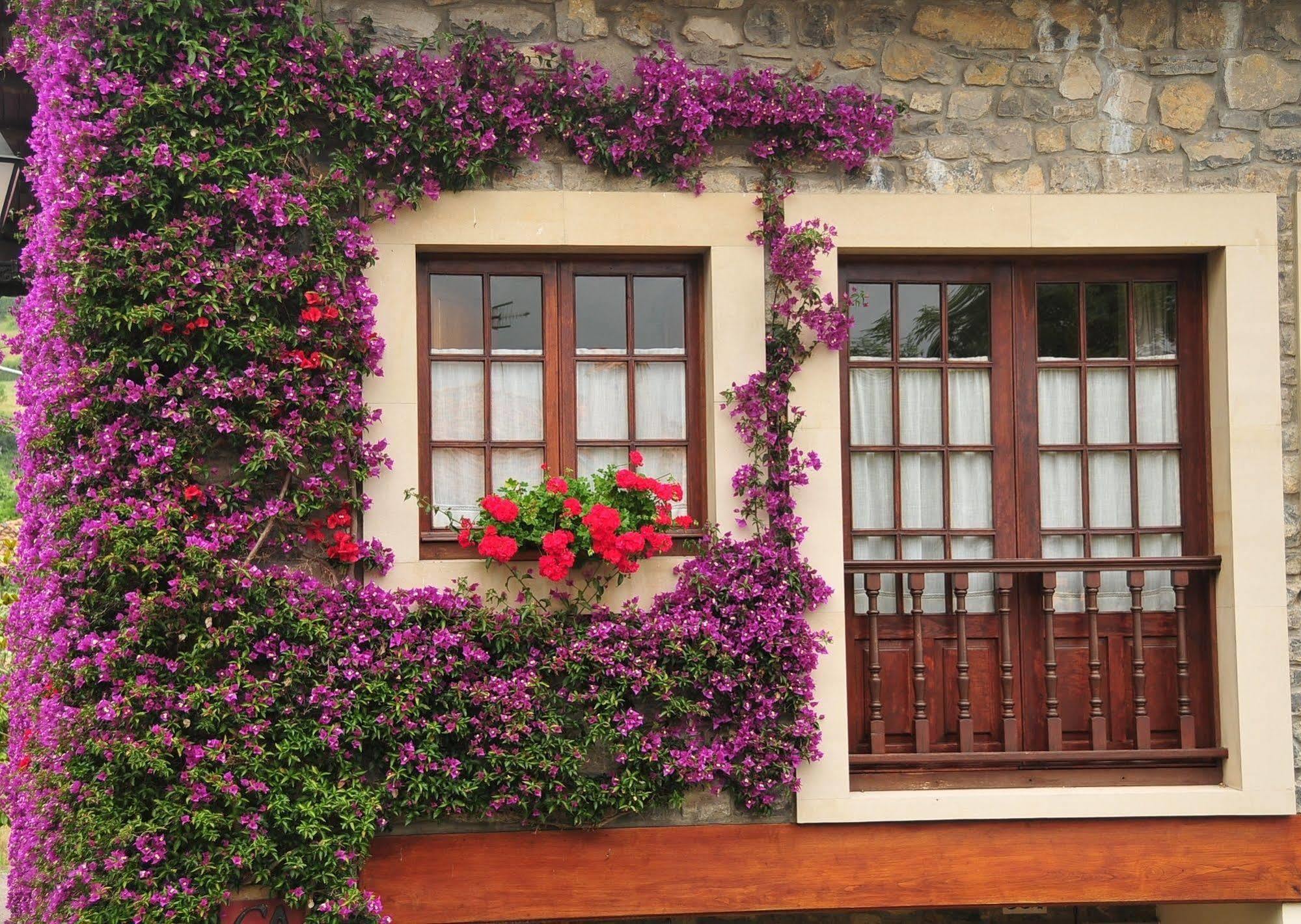 Penzion Casa Rural Llugaron I Miravalles Exteriér fotografie